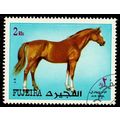 Fujeira 1972 Animal Horse Airmail 2R Used Stamp