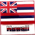 Hawaii British Flag Souvenir Clear Acrylic Keyc...