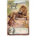 Gotthold Lessing Printed Signed Bendorps Cocoa ...