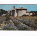 Plateau des Abeilles La Chapelle France Postcar...