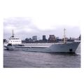 SQ1044 - Dutch Becks Coaster - Vanda - photogra...