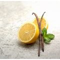 Lemon Vanilla Bath Soak[ ]