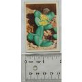 1936 cigarette card South African Succulents No...
