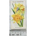 1910 Wills Old English Garden Flowers No. 41 Da...