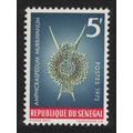 Senegal 'Amphicraspedum murrayanum' Protozoans ...