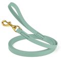 Dog Pet Leash Sage Green w/ Brass Hardware W 3/...