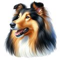 307 Collie Poster Canvas Movie Film Print A0 A1...