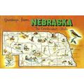 United States NEBRASKA Map Postcard (Dexter 337...