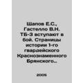 Shchapov E.S., Gastello V.N. TB-3 go into battl...