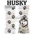 I Love My Husky Fridge Magnet