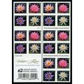 Water Lilies Booklet Pane of 20 First Class Pos...