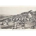 14 - Luc-sur-Mer - avant le bain
