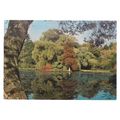THE LAKE IN SEVEN ACRES, R.H.S. GARDENS, WISLEY...