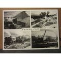multiview PEPPER & SON unused postcard by Amber...