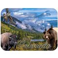 Colorado with Bison and Bear Fridge Magnet