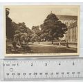 vintage Postcard Arras Le Jardin et le Musee Sa...