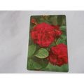 WEBBS GARDENING CARDS (ROSES) NO 16 (24/12) POS...