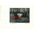 Timber Waggon, Anton Mauve & La Baignade, Georg...