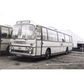 Black & White Photograph of Yelloway Motor Serv...