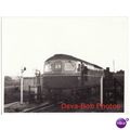 Railway Photo BR Class 33 D6533 Diesel Loco