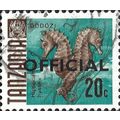 TANZANIA, FISH, Spiny Seahorse, Official, blue-...