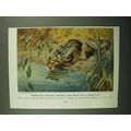 1943 Marbled Cat Illustration - Walter A. Weber