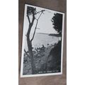 1950s Dean & Co Photo Postcard - Priory Bay, Se...