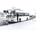 Black & White Photograph of Birch Brothers Ltd....
