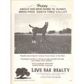 live oak realty 1972 santa ynez valley arabian ...