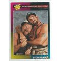 WORLD WRESTLING FEDERATION trading card # 9 THE...