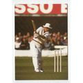 David Gower Leicestershire and England Cricket ...