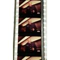 Goldfinger. pk GFC 0176T. 1 strip of 5 film cel...