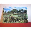 ROSE GARDEN, FRIMLEY PARK, HASTINGS, NEW ZEALAN...