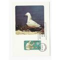 SPAIN ESPANA 1986 EUROPA 17p OBVERSE BIRDS POST...