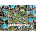 Grub Aus Detmold German Map Postcard