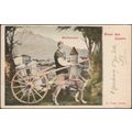 Milchfuhrwerk, Gruss aus Luzern, 1904 - Voege AK