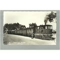 Cambridgeshire WISBECH Steam Tram Postcard by C...