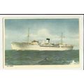 Swedish Lloyd MV SAGA Company Art Postcard