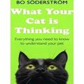 What Your Cat Is Thinking Everything you need t...