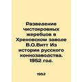 Breeding thoroughbred stallions in the Khrenov plant by V.O.Witt From the histo