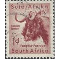 SOUTH AFRICA, MAMMAL, Blue wildebeest, brown-vi...