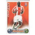 Match Attax 2008/2009 Amoy Faye Stoke City