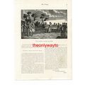 Female Cricket Players 1777 (Small Adverts On R...