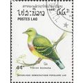 LAOS, BIRD, Orange-breasted green pigeon, Trero...