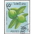 LAOS, FRUIT, Chikoo, Manilkara zapota, blue 198...