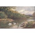 GB Postcard - Clivedon Woods, Buckinghamshire