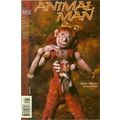 Animal Man (Vol 1) # 067 NM MODERN AGE COMICS