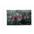 Herring Season, Yarmouth (Young April & Horse, ...