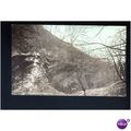 Worcestershire DUDLEY Wrens Nest Postcard by Da...