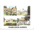 Hambledon, Surrey - multiview postcard inc scho...